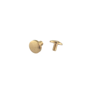 Chicago Screw Brass 8x10mm (rounded)